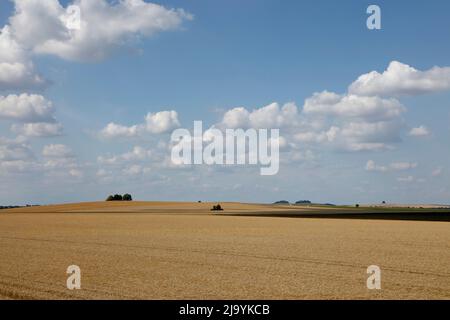 Cholsey Hill, Wittenham Clomps et Brightwell Barrow, Cholsey, Oxfordshire, Angleterre, Royaume-Uni Banque D'Images