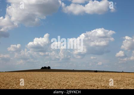 Cholsey Hill et Brightwell Barrow, Cholsey, Oxfordshire, Angleterre, Royaume-Uni Banque D'Images