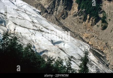 Le glacier des Bossons vu de la Buvette du Cerro à 1358 M. Il y a beaucoup de gens sur la langue du glacier. Chamonix Mont blanc, France, 1990 Banque D'Images