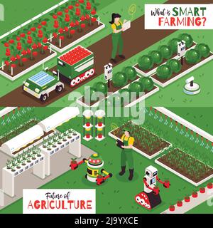 Ensemble de deux bannières horizontales isométriques Smart Farm avec vues extérieures des plantations avec illustration vectorielle de robots agricoles Illustration de Vecteur