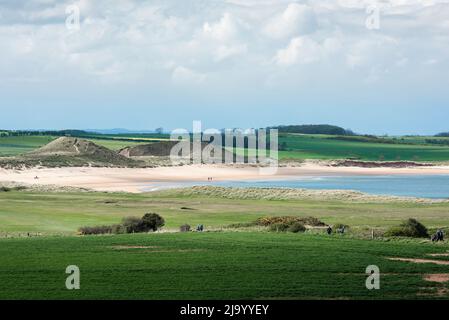 Paysage de Northumberland, vue à la fin du printemps de la plage pittoresque et de la campagne environnante dans la baie d'Embleton sur la côte de Northumberland, Angleterre, Royaume-Uni Banque D'Images