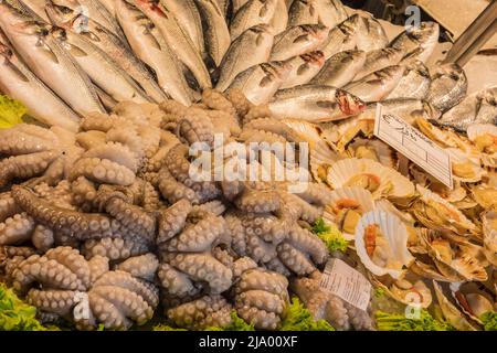 Pieuvre et sardines fraîches à vendre, marché aux poissons du Rialto, venise, Italie Banque D'Images