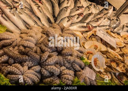 Pieuvre et sardines. Tôt le matin au marché aux poissons du Rialto, Venise, Italie Banque D'Images