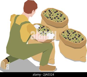 Production d'olives composition isométrique avec le caractère humain de l'ouvrier mâle avec des sacs d'olives illustration vectorielle Illustration de Vecteur