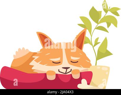 Dessin animé vieux chien endormi sur son lit illustration vectorielle Illustration de Vecteur