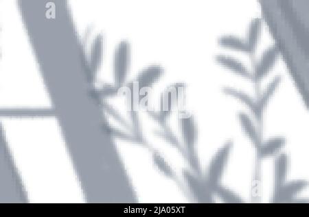 Effets de superposition d'ombres réalistes maquette de la composition de la vue de dessus avec illustration du vecteur des ombres de la fenêtre et de la plante d'origine Illustration de Vecteur