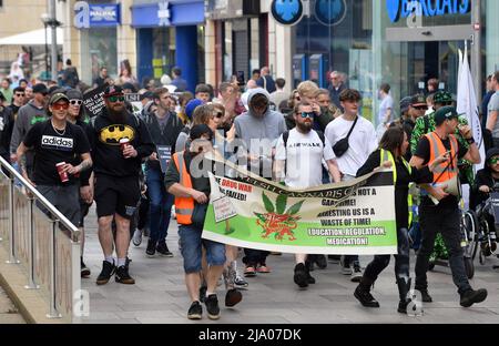 Global Cannabis Mars 10th anniversaire de marche à travers Cardiff. Départ du parc Cathays et conclusion au parc Hamadryad, Cardiff Picture by Rich Banque D'Images