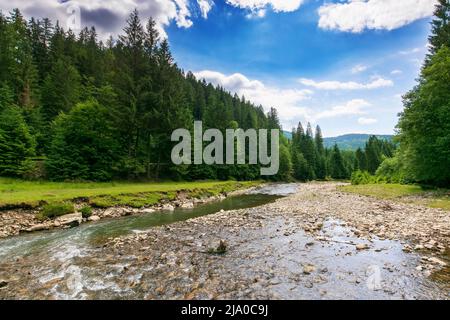 la rivière forestière traverse la vallée. magnifique paysage de la nature en été. épinettes sur la côte herbeuse. montagnes au loin. nuages sur le bleu Banque D'Images