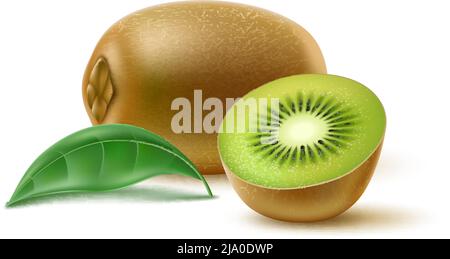 Des fruits réalistes. Kiwi tropical entier et à moitié. Ingrédient alimentaire frais. Morceaux mûrs et feuille verte. Nutrition végétarienne. Produit naturel sucré. Organique Illustration de Vecteur