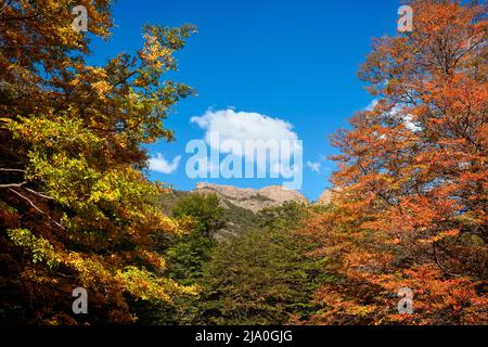 Les couleurs automnales des Andes dans le parc national de Los Glaciares, El Chalten, Santa Cruz, Patagonie Argentine. Banque D'Images