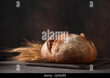 Pain de céréales entières fraîchement cuit et épillet à l'orge sur fond brun foncé. Gros plan. Banque D'Images