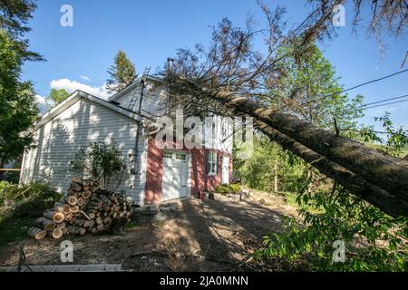 Destruction laissée derrière après la tempête de vent. Banque D'Images