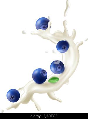 Composition réaliste de baies de yogourt au lait avec des éclaboussures de liquide blanc et illustration vectorielle de bleuets mûrs Illustration de Vecteur