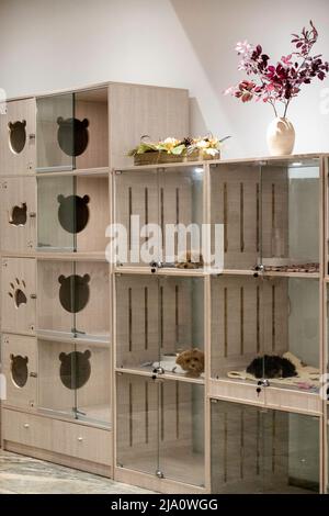 Kimomi est une boutique d'animaux de compagnie au 128 Madison Avenue, New York City, USA 2022 Banque D'Images