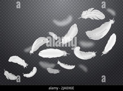 Ensemble de plumes blanches d'oiseau tombant sur fond transparent foncé dans une illustration vectorielle de style réaliste Illustration de Vecteur