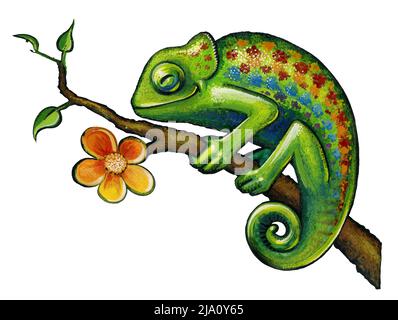 Illustration colorée d'un caméléon sur une brindille à fleurs dans le dos blanc Banque D'Images