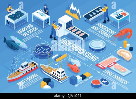 Modèle infographique horizontal de traitement du poisson avec stockage des prises pour la manutention de bateaux de pêche et illustration vectorielle des éléments isométriques du produit final Illustration de Vecteur