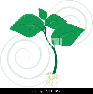 Illustration d'un jeune sprint. Un jeune sprint, symbole du nouveau début de la vie. Le sprout vert apporte à la nature de beaux arbres, fleurs, oxy Illustration de Vecteur