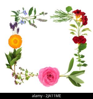 Couronne d'été fleurie abstraite avec herbes et fleurs. Toute la flore utilisée en phytothérapie, assaisonnement et décoration alimentaire. Sur fond blanc. Banque D'Images