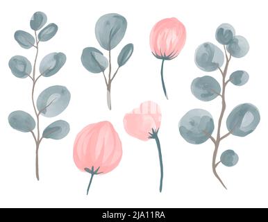 Vector Collection de fleurs d'aquarelle et de branches d'eucalyptus pour les compositions de mariage. Illustration de Vecteur