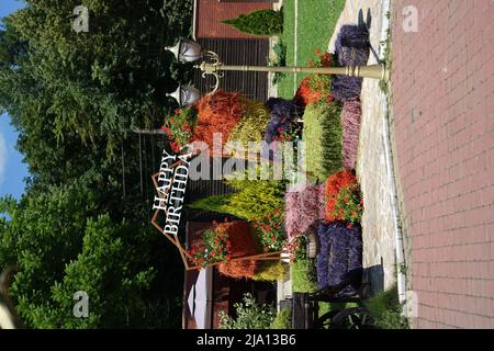 Joyeux anniversaire photo zone faite de balles de foin naturelles peintes dans différentes couleurs Banque D'Images