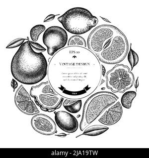 Motif couronne aux agrumes. Kumquat dessiné à la main, citron, tangelo etc Illustration de Vecteur