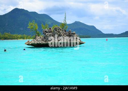 Crystal Rock à la Morne, Maurice. Banque D'Images