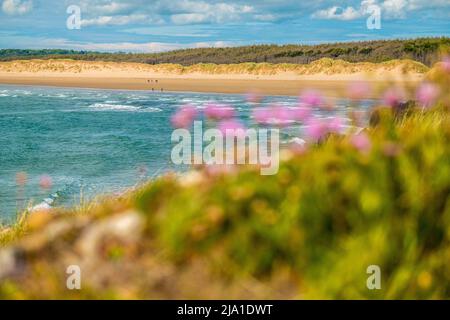 La plage de Newborough / Malltraeth sur Anglesey, pays de Galles Banque D'Images