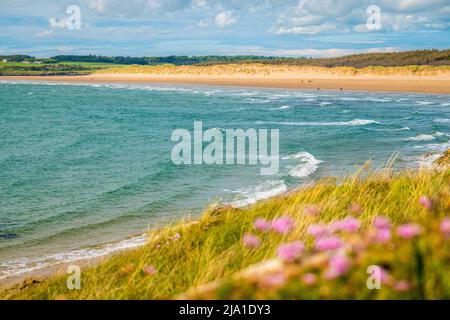 La plage de Newborough / Malltraeth sur Anglesey, pays de Galles Banque D'Images