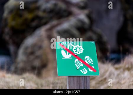 Le canyon de Fjaðrárgljúfur est situé près de Kirkjubæjarklaustur, en Islande. Le canyon a été formé par la rivière Fjaðrá. La rivière s'élève dans les hautes terres et s'est creusée jusqu'à 100 mètres de profondeur dans la roche palagonite. Depuis le chemin principal, les chemins s'emmènent encore et encore directement au bord de la falaise, mais les sentiers étroits vraiment dangereux risquent de ne plus être entrés. Banque D'Images