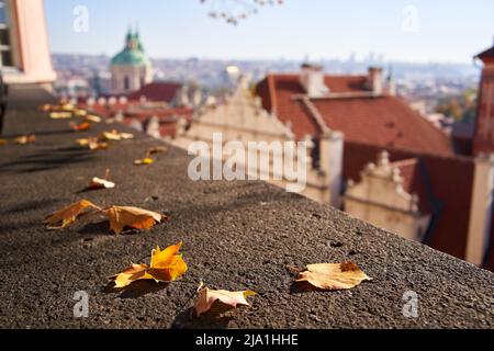 L'automne part sur un mur, avec un panorama de Mala Strana à Pradue en arrière-plan par une journée ensoleillée Banque D'Images