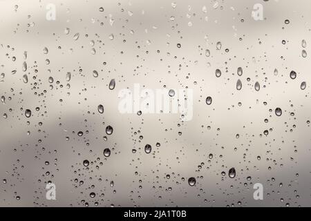 Gouttes de pluie sur une fenêtre Banque D'Images