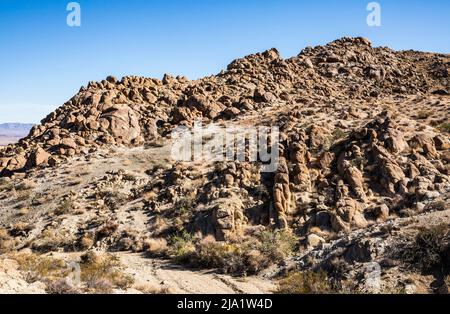 Le paysage le long du début de la 49 Palms Oasis Trail, Joshua Tree National Park. Banque D'Images