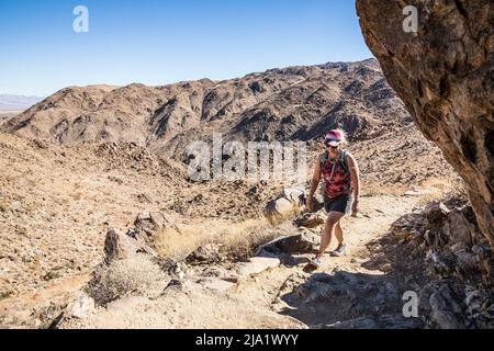 Une femme qui fait de la randonnée sur le sentier vers/depuis l'oasis du désert de Fortynine Palms dans le parc national de Joshua Tree. Banque D'Images