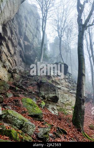 Sentier Mullerthal, sentier de randonnée à travers le paysage rocheux sauvage avec des rochers de grès dans la brume, Little Luxembourg Suisse, Mullerthal or Banque D'Images