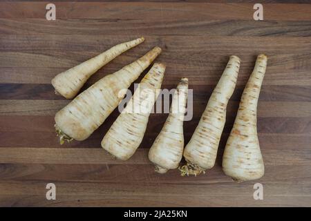 Cuisine souabe, préparation racine de persil (Petroselinum crispum subsp. Tuberosum) sur bois, légumes d'hiver, cuisine traditionnelle Banque D'Images