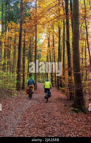 Deux cyclistes en chemin à travers la forêt automnale, arbres de couleur jaune et rouge en automne, Wuermtal près de Gauting, Bavière, Allemagne Banque D'Images