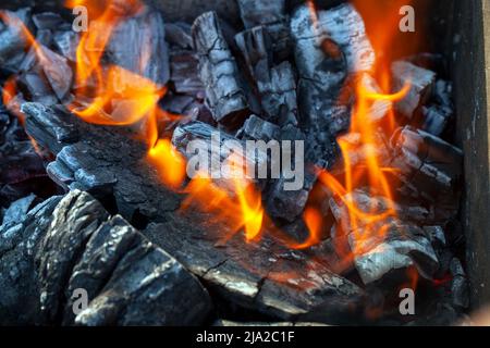 un feu fait de rondins avec une flamme vive à un camping pendant la cuisson, une flamme de feu de la cour, une photo avec une petite profondeur de champ Banque D'Images