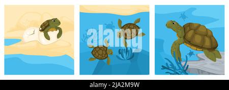 Concept de conception du cycle de vie des tortues avec ensemble de compositions carrées avec des tortues et des poissons en illustration vectorielle d'aquarium Illustration de Vecteur
