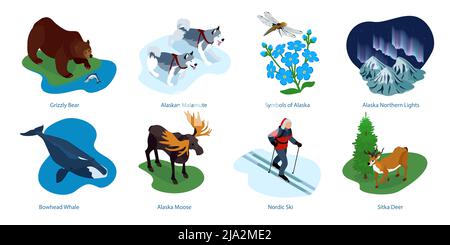 Alaska compositions isométriques avec le ski nordique chiens malamute lumières nordiques grizzly ours baleine boréale cerf illustration vectorielle Illustration de Vecteur