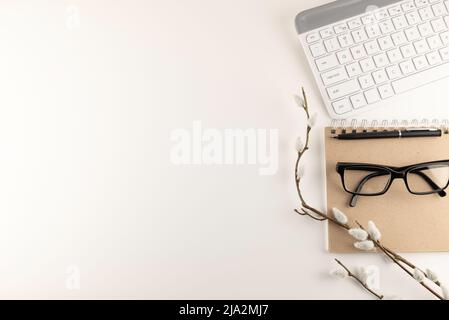 Bureau plat avec branche Salix carea avec fond blanc. Banque D'Images