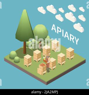 Arrière-plan isométrique apiaire avec des rangées de ruches debout sur la pelouse près des arbres illustration vectorielle Illustration de Vecteur