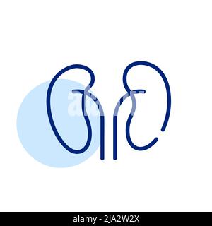 Reins humains. Icône de l'anatomie interne de l'organe. Illustration de trait de trait de pixel parfaite et modifiable Illustration de Vecteur