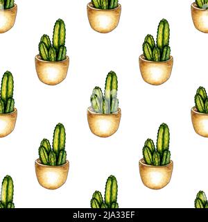 Motif d'illustration aquarelle de cactus de fleurs faits maison dans un pot. Il est parfait pour les cartes postales, les affiches, les bannières, les invitations, les cartes de vœux, imprime. Banque D'Images