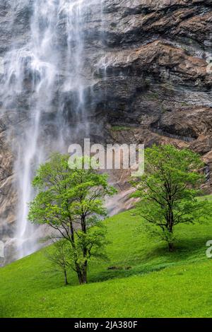 Cascade de Staubbach, Lauterbrunnen, canton de Berne, Suisse Banque D'Images