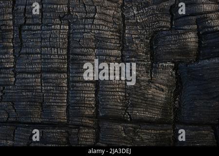 Fond gris d'une planche de bois brûlée Banque D'Images