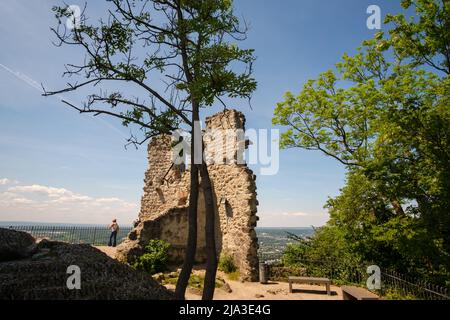 Königswinter, Allemagne- 18 mai 2022 : vue sur le rocher de Drachenfels près de la ville de Königswinter en Allemagne et un touriste appréciant la vue Banque D'Images
