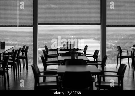 Königswinter, Allemagne- 18 mai 2022 : magnifique vue panoramique sur le Rhin, depuis un restaurant au sommet de la colline à Drachenfels en noir et blanc Banque D'Images