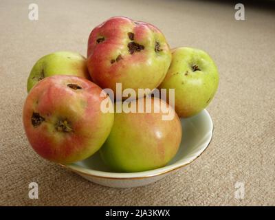 Pommes vertes et pommes rouges fraîches et pourries Banque D'Images