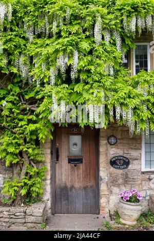 Wisteria floribunda Alba sur un cottage en pierre de cotswold au printemps. Burford. Cotswolds, Oxfordshire, Angleterre Banque D'Images